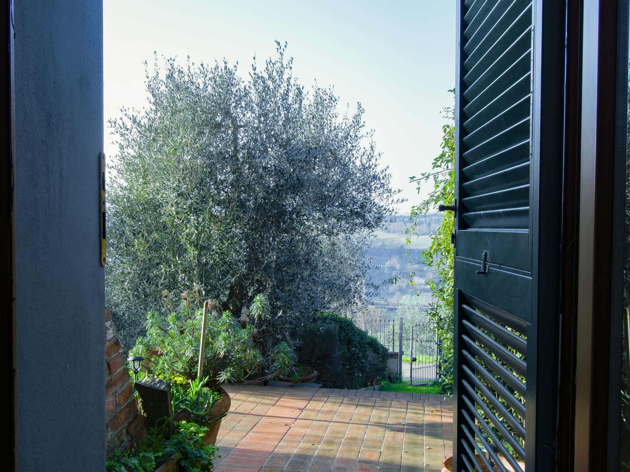 Photo 19 - 4 bedroom House in Castelfiorentino with private pool and garden
