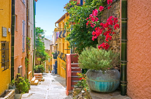 Photo 24 - 2 bedroom Apartment in Collioure with garden and terrace