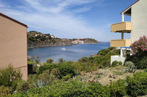 Foto 17 - Apartamento de 2 habitaciones en Collioure con jardín y terraza