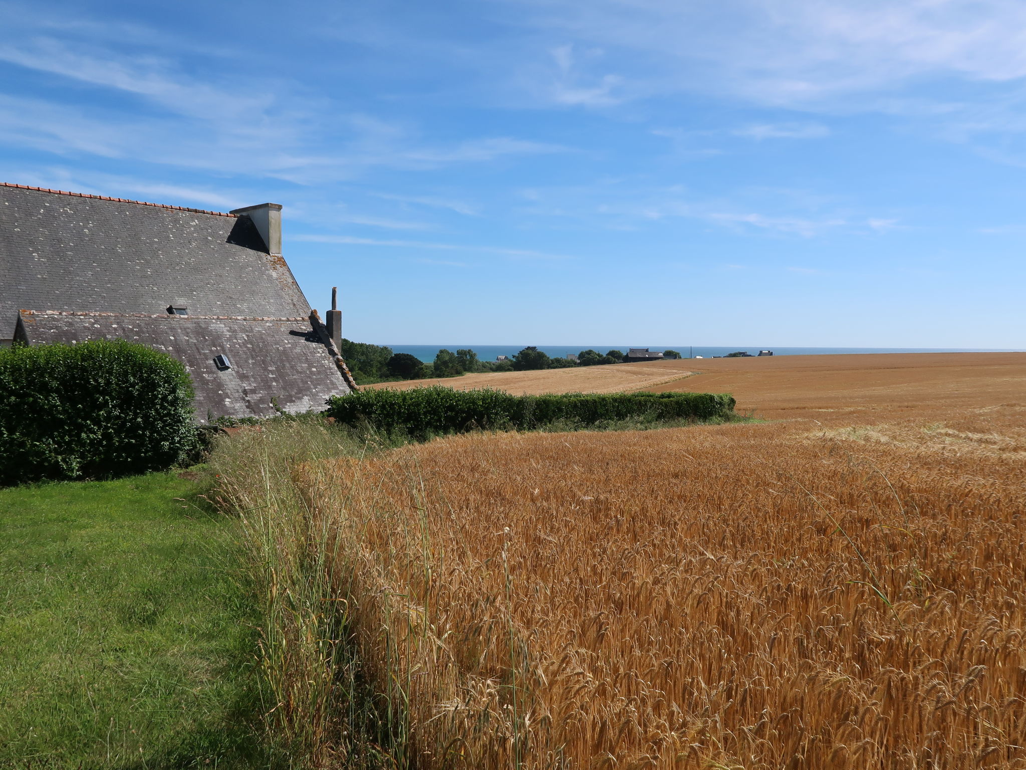 Photo 16 - Maison de 1 chambre à Plozévet avec jardin et vues à la mer