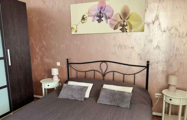 Casa de 3 quartos em Kanfanar com piscina privada e jardim - Foto 22