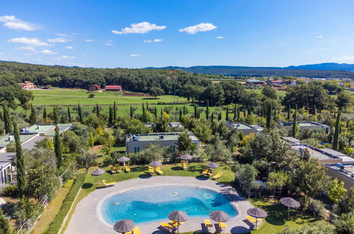 Foto 50 - Haus mit 2 Schlafzimmern in Cecina mit schwimmbad und garten