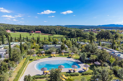 Foto 48 - Casa con 2 camere da letto a Cecina con piscina e giardino