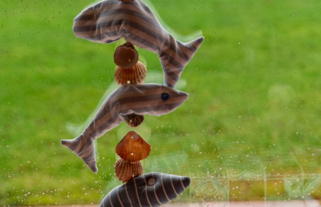 Casa de 3 quartos em Norden com jardim e terraço - Foto 20