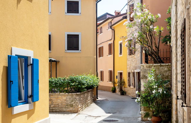 Casa de 4 quartos em Brtonigla com piscina privada e jardim - Foto 51