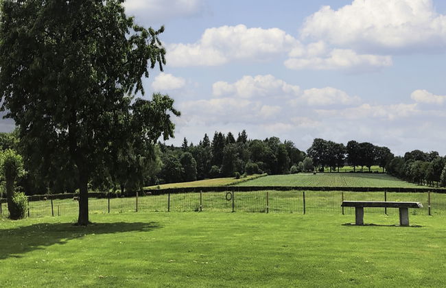 Casa de 4 quartos em Gulpen com jardim e terraço - Foto 21