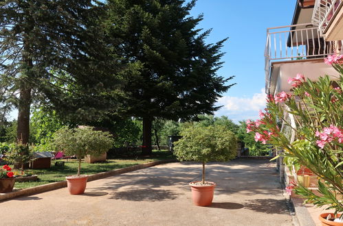 Photo 2 - Appartement de 1 chambre à Sveta Nedelja avec piscine et jardin