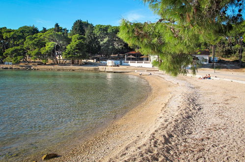 Photo 18 - Appartement de 3 chambres à Sveti Filip i Jakov avec jardin et vues à la mer