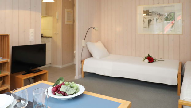 Apartment mit 1 Schlafzimmer in Saanen - Foto 5