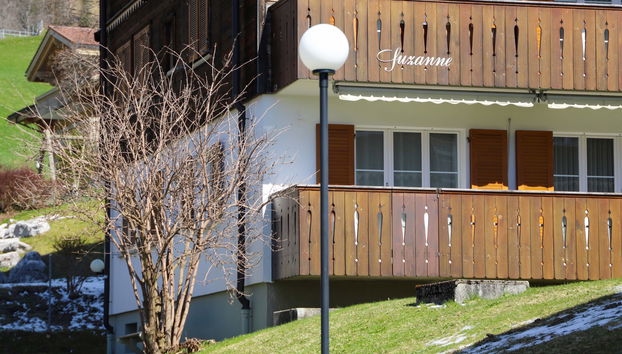 Apartment mit 1 Schlafzimmer in Saanen - Foto 2
