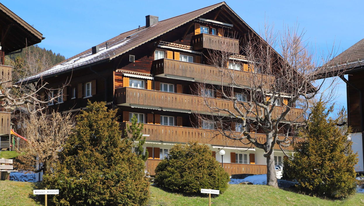 Apartment mit 1 Schlafzimmer in Saanen - Foto 1
