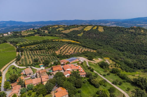 Foto 6 - Casa con 3 camere da letto a Cinigiano con piscina e giardino