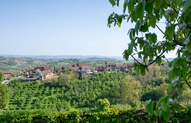 Casa de 8 quartos em San Damiano d'Asti com piscina e jardim - Foto 50