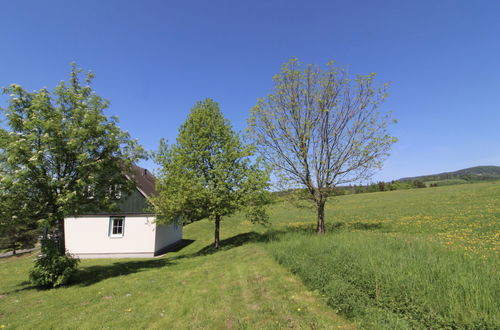 Foto 41 - Haus mit 3 Schlafzimmern in Černý Důl mit schwimmbad und garten