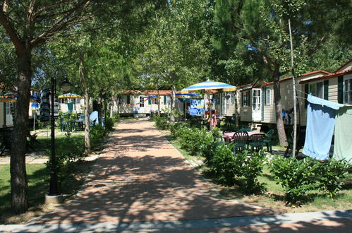 Photo 15 - Maison de 3 chambres à Castiglione del Lago avec piscine et terrasse