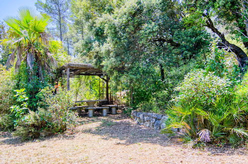 Photo 39 - Maison de 6 chambres à Pignans avec piscine privée et jardin