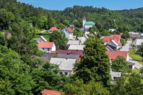 Photo 27 - 3 bedroom House in Fužine with private pool and garden