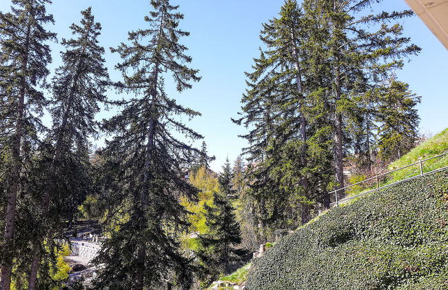 Apartamento de 2 quartos em Crans-Montana - Foto 24