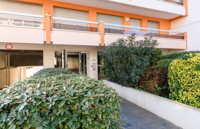 Apartamento de 1 quarto em Arcachon com terraço - Foto 2