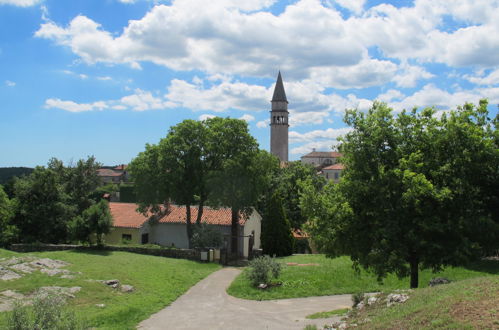 Photo 35 - 2 bedroom Apartment in Pićan with swimming pool and terrace