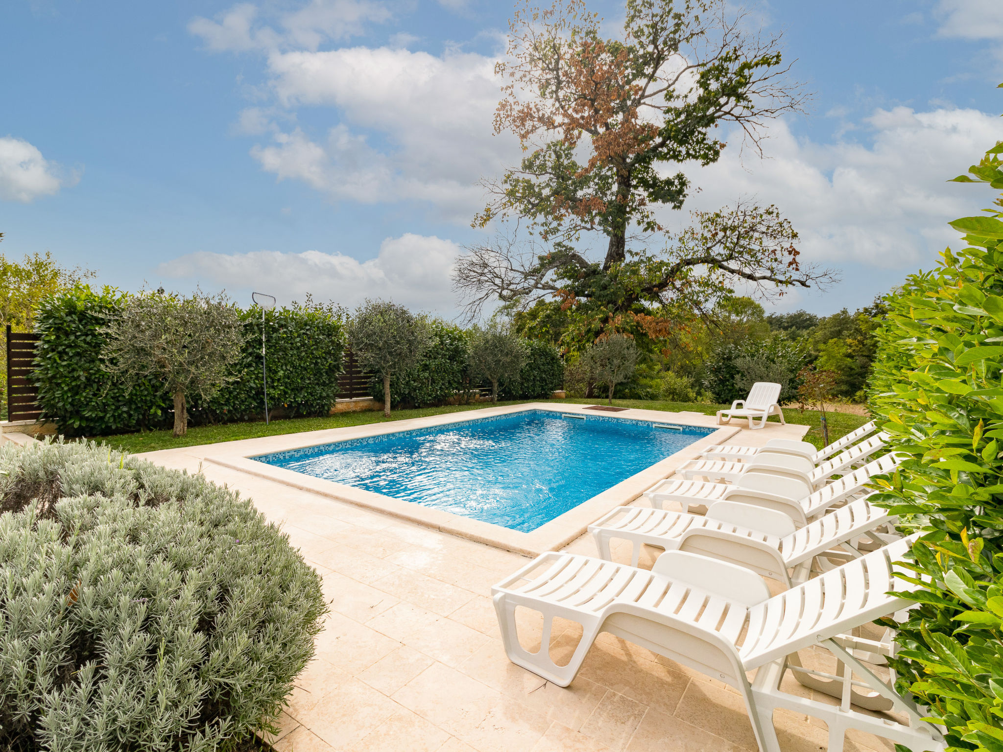 Foto 33 - Casa con 4 camere da letto a Pićan con piscina privata e terrazza