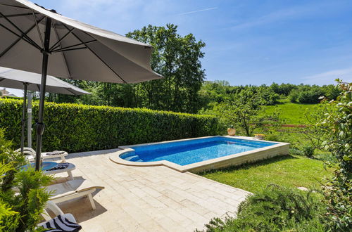 Photo 22 - Maison de 3 chambres à Karojba avec piscine privée et jardin