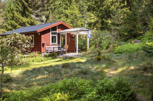 Foto 20 - Casa con 2 camere da letto a Skällinge con giardino e terrazza