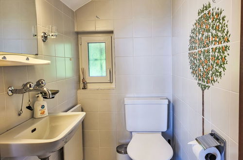 Foto 45 - Casa con 3 camere da letto a Brissago con giardino e terrazza
