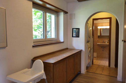 Foto 42 - Casa con 3 camere da letto a Brissago con giardino e terrazza