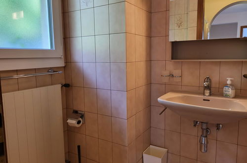 Foto 44 - Casa con 3 camere da letto a Brissago con giardino e terrazza