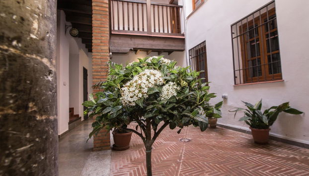 Apartamentos Nahira Suites 3000 - Foto 4