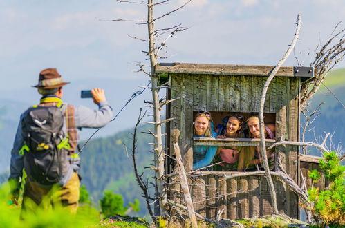 Foto 8 - Haus mit 5 Schlafzimmern in Stadl-Predlitz mit sauna und blick auf die berge