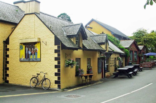 Photo 19 - Maison de 3 chambres à Nenagh avec jardin