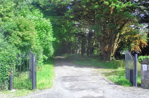 Photo 5 - Maison de 3 chambres à Nenagh avec jardin