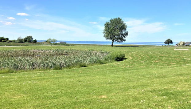 Casa de 3 quartos em Brenderup Fyn com terraço e sauna - Foto 3