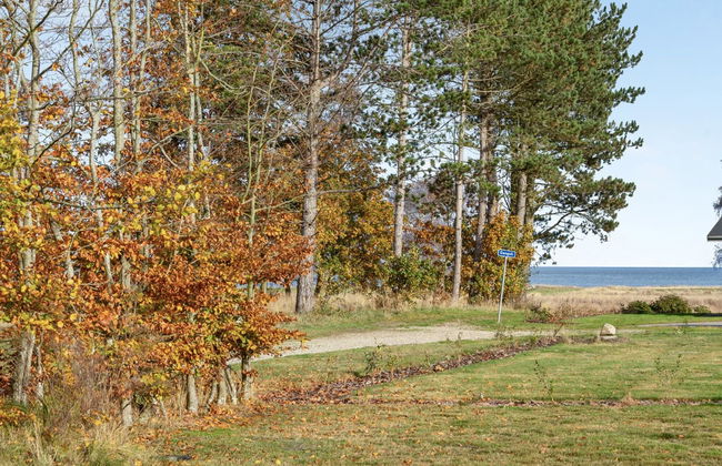 Casa de 2 quartos em Ørsted com terraço e sauna - Foto 9