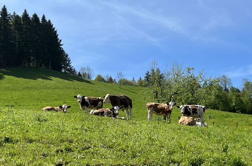 Photo 21 - Appartement en Kirchzarten avec vues sur la montagne