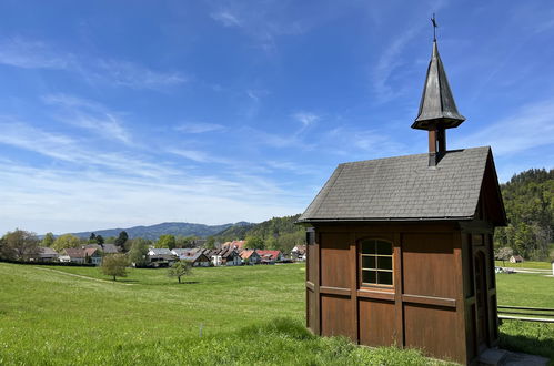 Foto 23 - Appartamento a Kirchzarten con vista sulle montagne