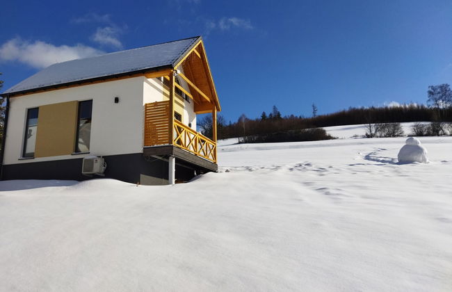 Casa de 3 quartos em Wisła com jardim e sauna - Foto 21
