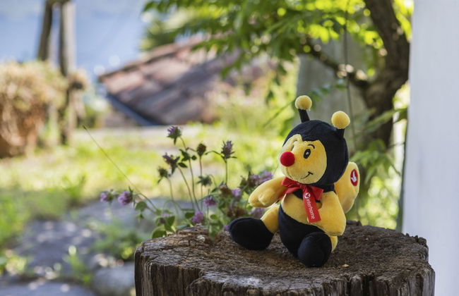 Casa de 3 quartos em Brissago com jardim e terraço - Foto 23