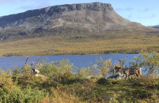 Foto 2 - Casa de 3 quartos em Enontekiö com sauna e vista para a montanha