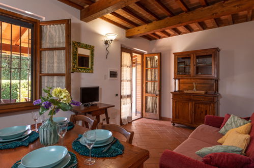 Photo 5 - 1 bedroom House in Massa Marittima with garden and terrace