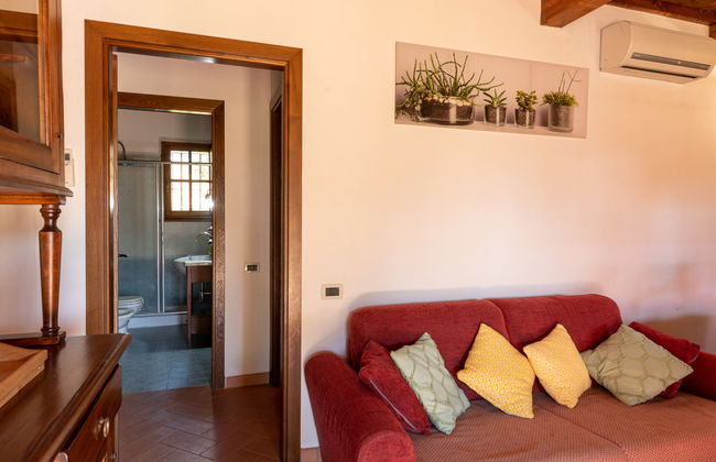 Casa de 2 quartos em Massa Marittima com jardim e terraço - Foto 10