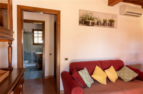 Photo 10 - Maison de 1 chambre à Massa Marittima avec jardin et terrasse