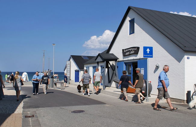 Casa de 3 quartos em Sønder Vorupør com terraço - Foto 3