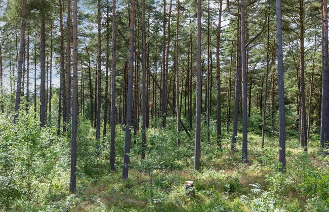 "Anarosa" - 200m from the sea - Foto 9