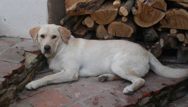 Locanda La Rosa - Foto 3