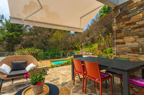 Foto 3 - Casa de 4 quartos em Bormes-les-Mimosas com piscina privada e jardim