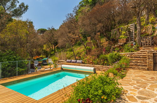 Foto 29 - Casa de 4 quartos em Bormes-les-Mimosas com piscina privada e jardim
