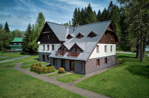 Foto 20 - Apartamento de 1 quarto em Harrachov com jardim